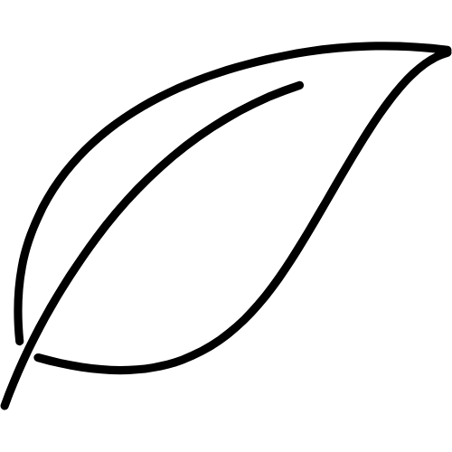 feuille plante